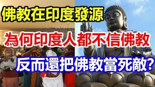 佛教在印度發源，為何印度人都不信佛教，反而還把佛教當死敵？ [upl. by Iloj]