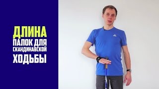 Как правильно определить высоту палок для скандинавской ходьбы [upl. by Korb]