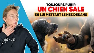 Toujours Punir un Chien Sale en lui Mettant le Nez Dedans [upl. by Pillow]