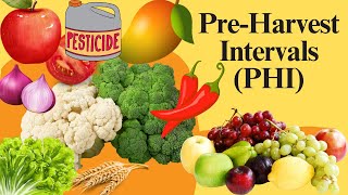 Pre Harvest Intervals PHI in Agriculture Importance and Guidelines safe pesticides use [upl. by Nailluj]