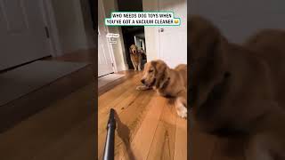 This pupper loves the vacuum cleaner 😂🐶 🎥 ViralHog [upl. by Brightman376]