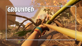 EL COFRE SECRETO DEL ARENERO  GROUNDED 10 Gameplay Español Ep 19 [upl. by Ai]