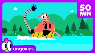 ACTION SONGS FOR KIDS 🙌🎶 Nursery Rhymes  Lingokids [upl. by Nathalia83]