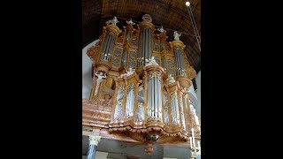 Teke Bijlsma speelt Ps 150 Orgel Grote Kerk Maassluis [upl. by Knutson681]