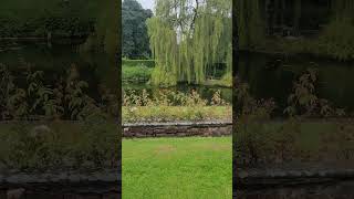 pond at coombe abbey [upl. by Solorac364]