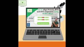 Sequence Alignment NCBIs BLAST protein RNA DNA alignment align blast bioinformatics [upl. by Ripp]