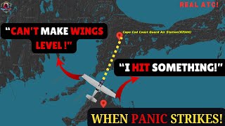 ILS approach GOES WRONG”I think i HIT SOMETHING” atc [upl. by Carder]