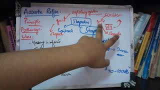 ACOUSTIC REFLEX or STAPEDIAL REFLEX a part of IMPEDANCE AUDIOMETRY important seq made easy [upl. by Aromat]