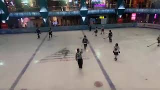 GAME 29  Rookie  Team Tigers Vs Team BadaX Women FROZENFACEOFF2024 MALAYSIA [upl. by Ellenor227]