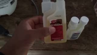 How to get Rid of Fleas in your Yard  Infestation of Fleas [upl. by Hiller436]