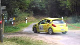 Rallye dAutun 2013 Crash amp Show HD [upl. by Clere]