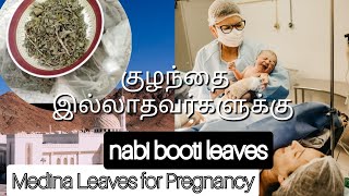 nabi booti குழந்தை இல்லாதவர்களுக்கு மூலிகை இலைகள் Madina leaces for pregnancy Nabi Booti [upl. by Etty]