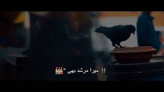 Janam Fida e haideri whatsapp status  Hazrat Ali whatsapp status [upl. by Noitsirhc]