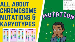 How Do We Analyze Chromosome Mutations amp Karyotypes [upl. by Lleznov]