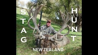 FALLOW BUCK AND RED STAG HUNTING NEW ZEALAND [upl. by Regor40]