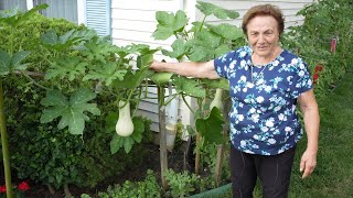 Italian Grandmas Vegetable Garden Tour 2023 [upl. by Oruntha]