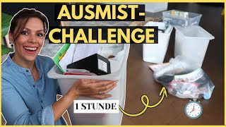 AUSMISTEN in 1 STUNDE Aussortieren und Ordnung schaffen  AusmistChallenge mache mit [upl. by Manoff198]