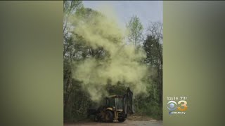 Man In Heavy Equipment Taps Tree Sends Massive Pollen Cloud Into Air [upl. by Nahtanha]