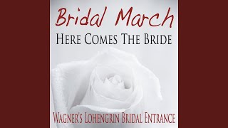 Bridal March Here Comes The Bride Wagners Lohengrin Bridal Entrance [upl. by Nyvrem957]