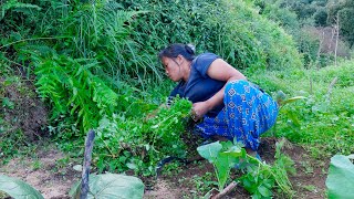 village life of a village family from rural Nepal  Bhumi village vlogs bhumivillagevlogs [upl. by Ley]