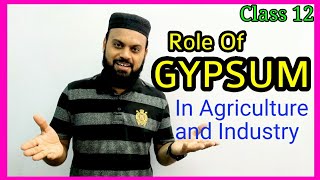 Gypsum  Role of gypsum in agriculture and industry  Plaster of paris and its types  Class 12 [upl. by Larrad]