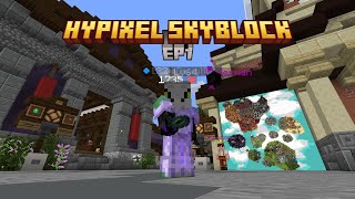 Hypixel Skyblocks EP1 END FARMING [upl. by Assirt]