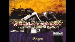 Flaco Flow y Melanina  Pringao Audio [upl. by Orips]