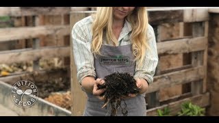 Troubleshooting Common Compost Problems [upl. by Ydnagrub32]