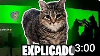 explicando meme [upl. by Aisenet]