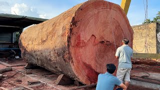 Wood Cutting Skills  Cutting The Worlds Largest Oak Tree With A Giant Chainsaw [upl. by Annaid]