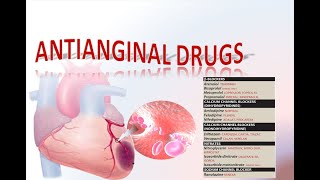 Antianginal drugs  Pharmacology Lippincott Illustrated Reviews Series [upl. by Lleirbag]