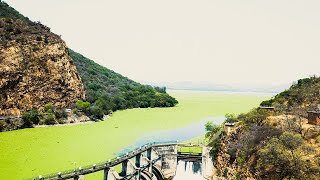 Hartbeespoort Dam Wall in 4K South Africa  Water hyacinth invaded the dam Shot with a drone [upl. by Siouxie]