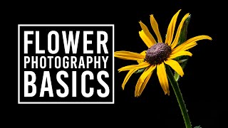 Flower Photography Tips for Beginners amp Macro Photography Ideas [upl. by Dimmick]