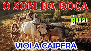 O SOM DA ROÇA  Modas De Viola Caipira  Só Modão [upl. by Ilojne]