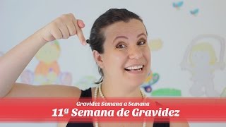 11ª Semana de gravidez [upl. by Nolham]