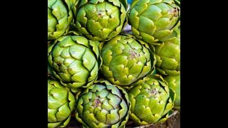 2018 How to Propagate Artichokes [upl. by Kwang]