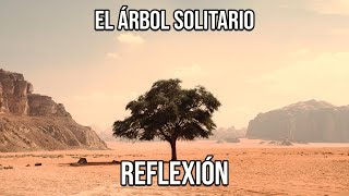 REFLEXIÓN EL ÁRBOL SOLITARIO Reflexiones Diarias Cortas de Vida del Alma Mejor Persona De Dios [upl. by Immot205]