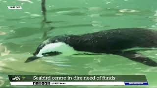 Seabird and Penguin Rehabilitation Centre in dire need of funds [upl. by Notfol]