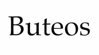 How to Pronounce Buteos [upl. by Chesna]