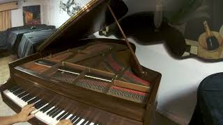 CHICKERING amp SONS 14 grand piano [upl. by Fenella]