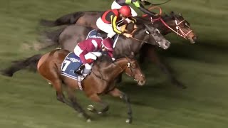 Mishriff is a worldwide superstar Group 1 Dubai Sheema Classic full replay [upl. by Marih250]