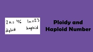 Ploidy and Haploid Number [upl. by Chafee387]