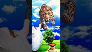 islamicvideo shortvideo for youSalaarkhan [upl. by Irami]