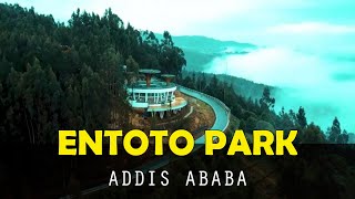 ENTOTO PARK Addis Ababa [upl. by Notliw866]