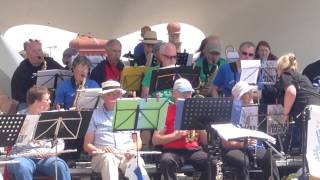 The Wacky Band playing Basin Street Blues [upl. by Mclyman223]