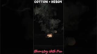 Cotton react with H2SO4  k2sirspecial chemistry chemicalchange science experiment organic [upl. by Aleel]