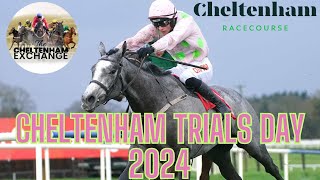 Cheltenham Trials Day Meeting Preview  Episode 13  Predictions  Tips  Selections [upl. by Nodearb]