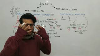 Trick to Learn all 206 Bones of Human Body Locomotion amp Movement Trick by Vipin Sharma [upl. by Rosenwald333]