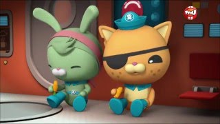 Les Octonauts et les patineurs des mers [upl. by Innavoig984]