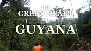 The Green Heart Of Guyana [upl. by Anitsirhk]